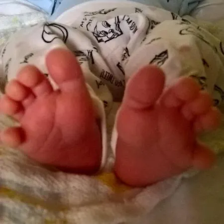 Koliba Stronie Śląskie