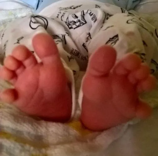 Koliba Stronie Śląskie